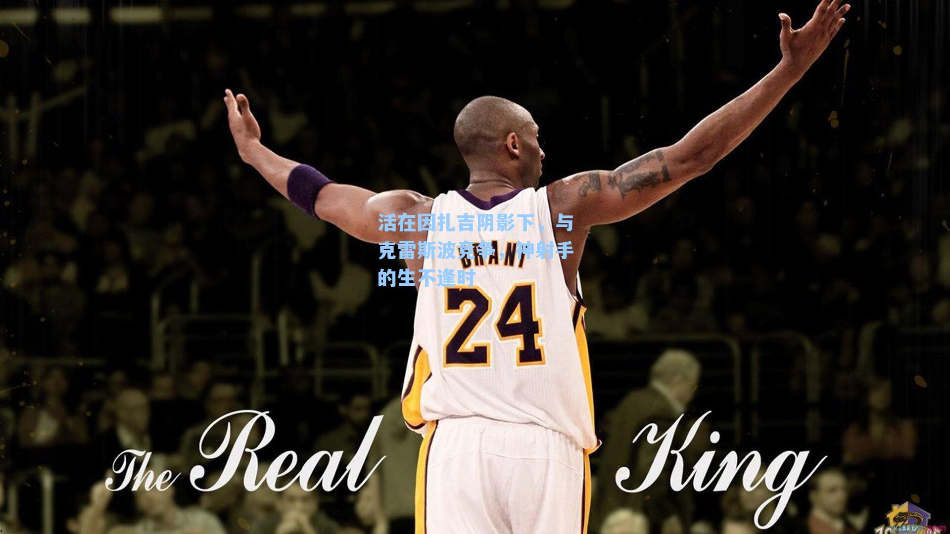 活在因扎吉阴影下,与克雷斯波竞争,神射手的生不逢时