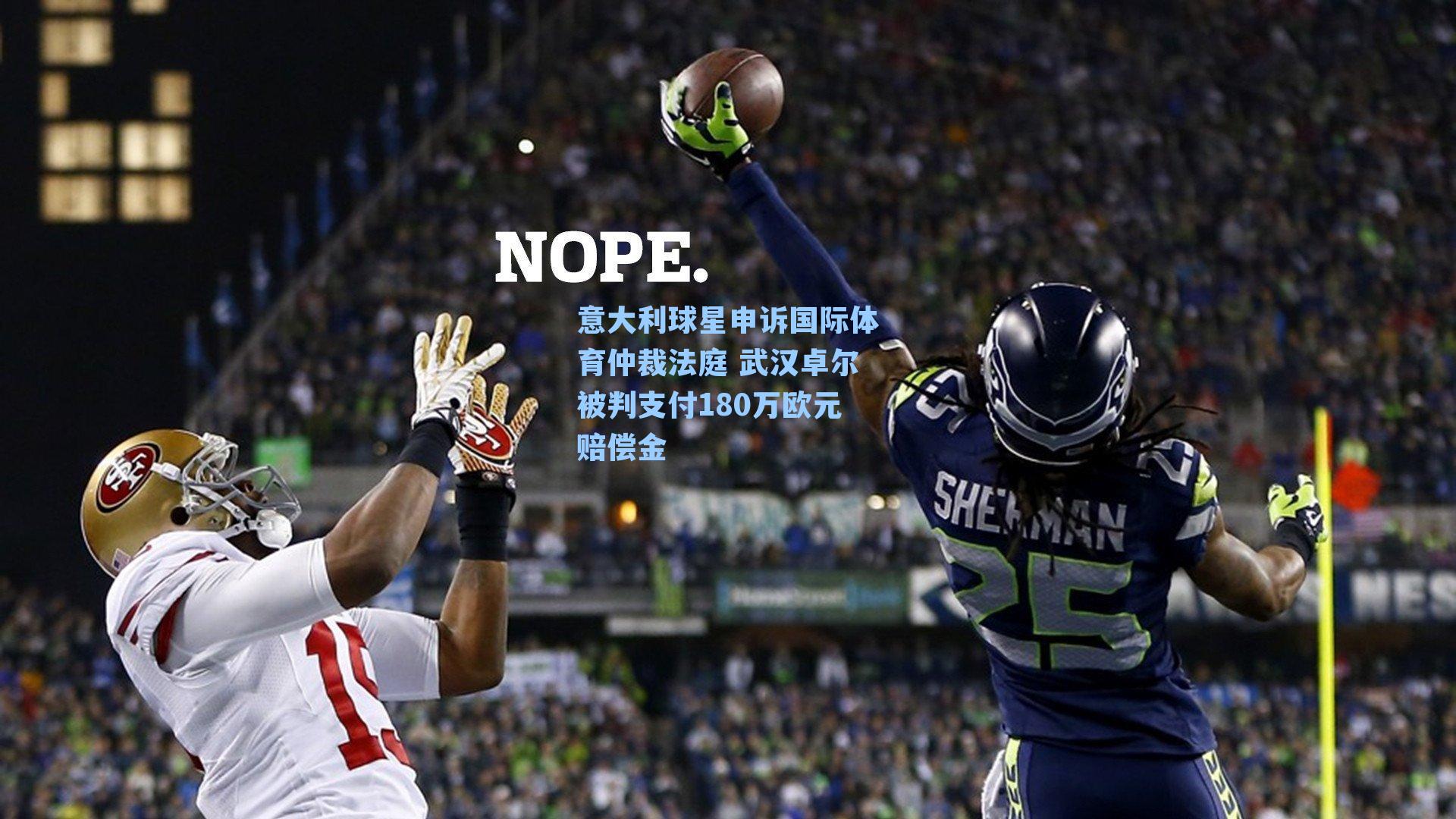 意大利球星申诉国际体育仲裁法庭 武汉卓尔被判支付180万欧元赔偿金