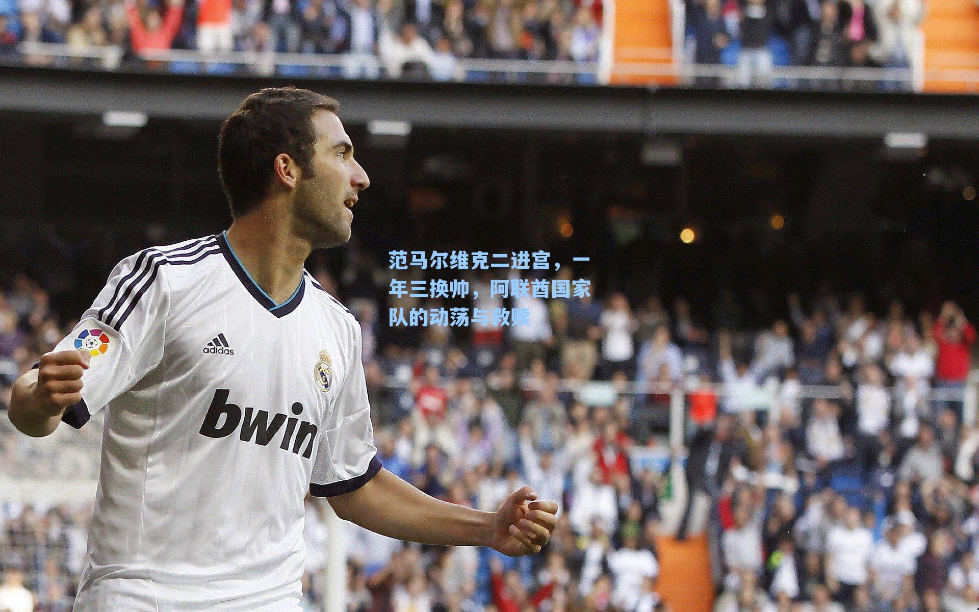 范马尔维克二进宫，一年三换帅，阿联酋国家队的动荡与救赎